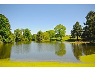 Property photo 71 - LAND AUCTION - 604+/- ACRES OFFERED IN 24 TRACTS IN MORGAN COUNTY, INDIANA